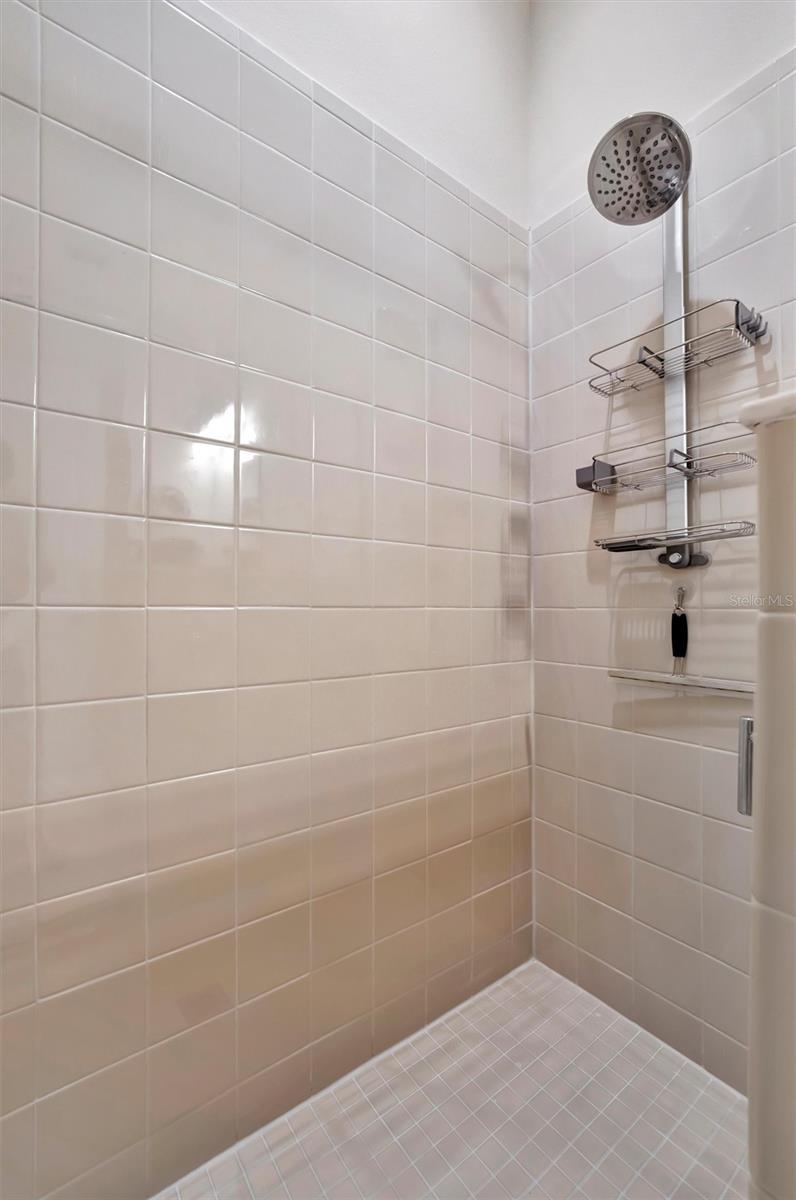 12809 RAINWASHED LOOP, PARRISH, FL, 34219