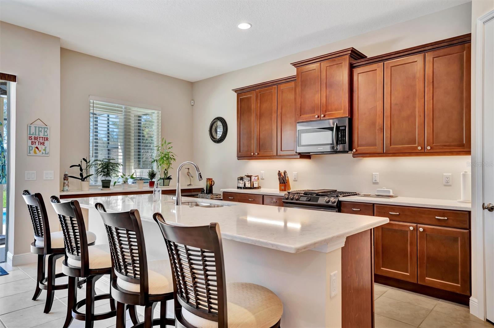 12809 RAINWASHED LOOP, PARRISH, FL, 34219