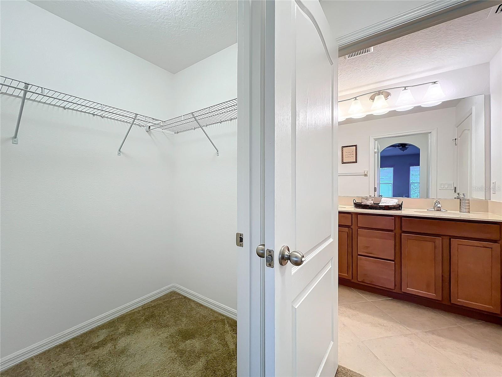 10840 CABBAGE TREE LOOP, ORLANDO, FL, 32825