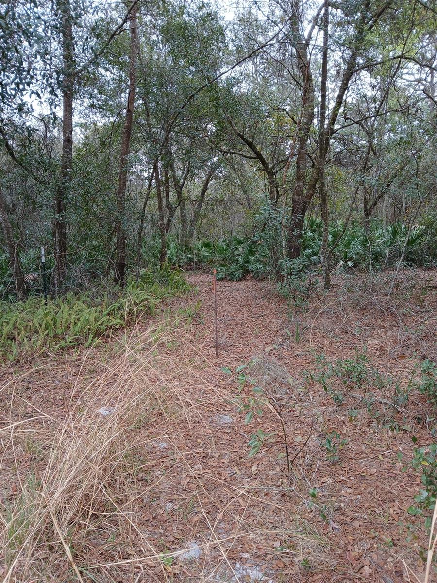 NO NAME, OSTEEN, FL, 32764