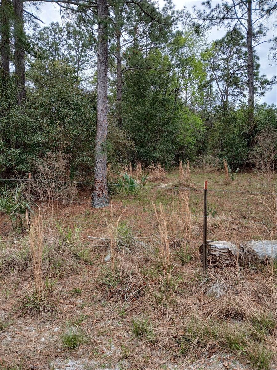 NO NAME, OSTEEN, FL, 32764