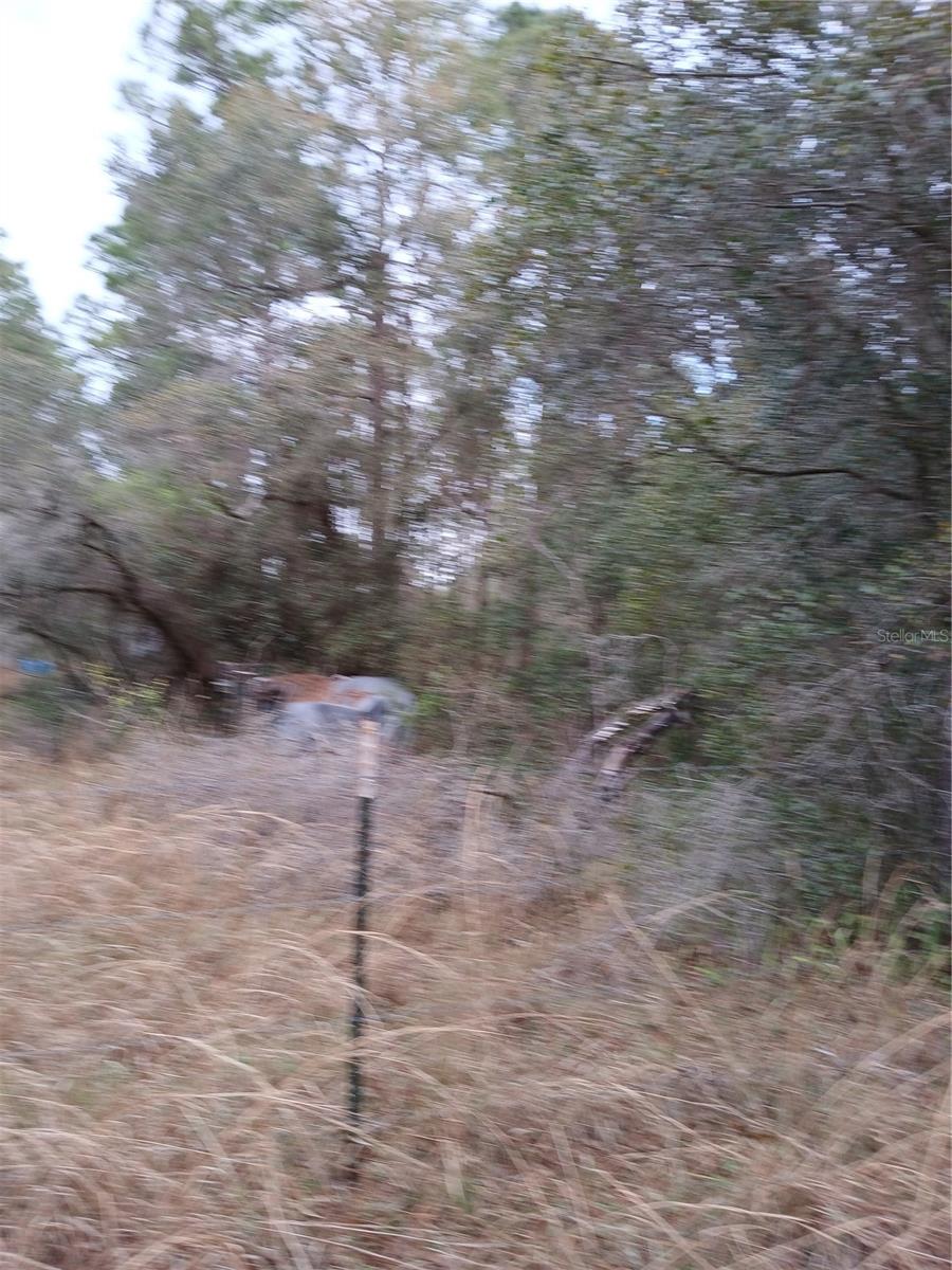 NO NAME, OSTEEN, FL, 32764