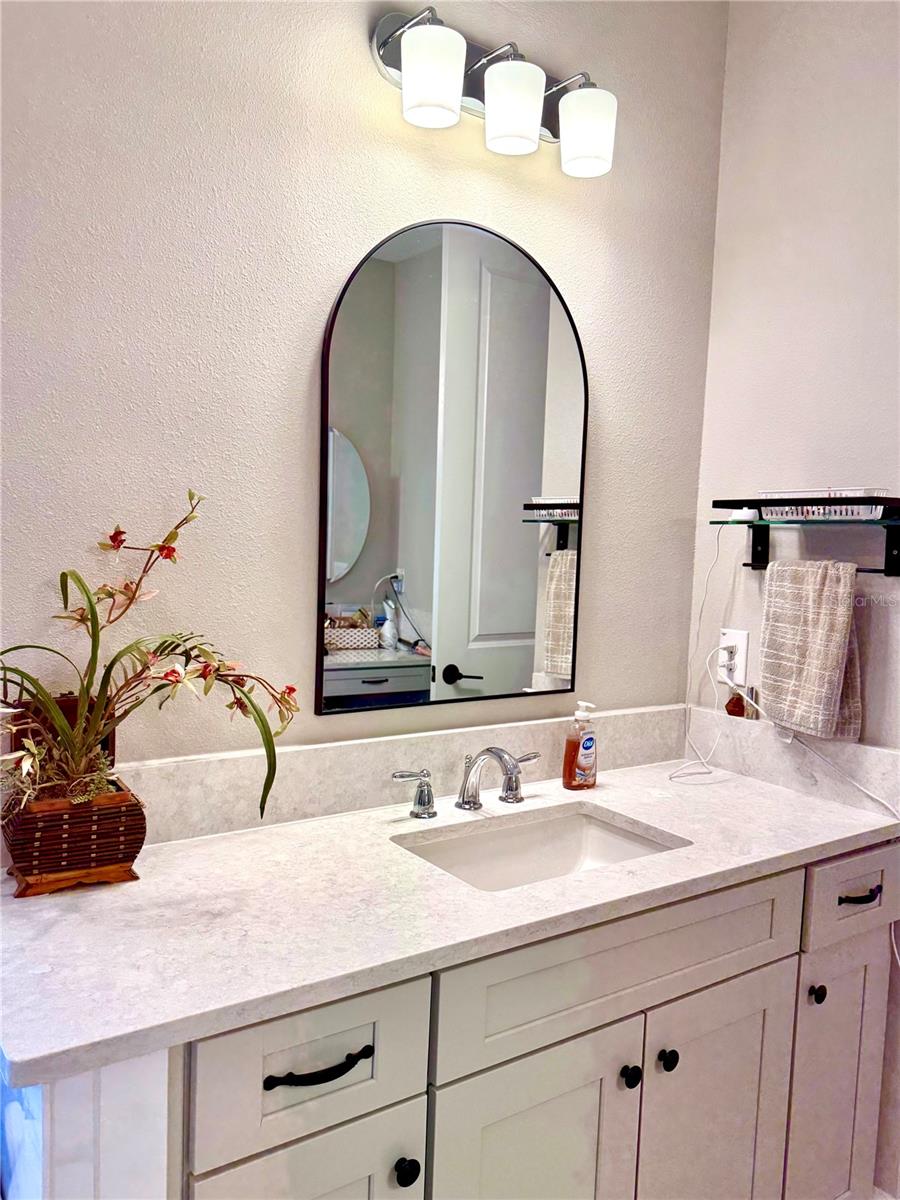 33802 CASTAWAY LOOP, WESLEY CHAPEL, FL, 33543