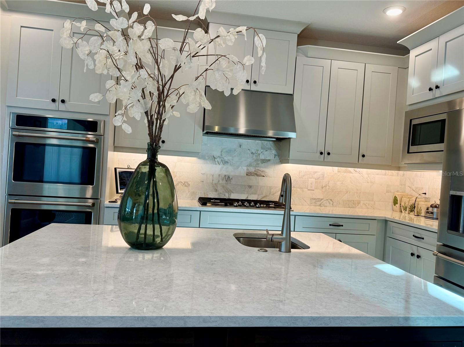 33802 CASTAWAY LOOP, WESLEY CHAPEL, FL, 33543