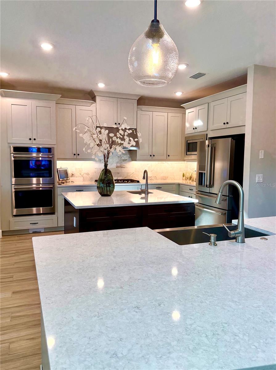 33802 CASTAWAY LOOP, WESLEY CHAPEL, FL, 33543