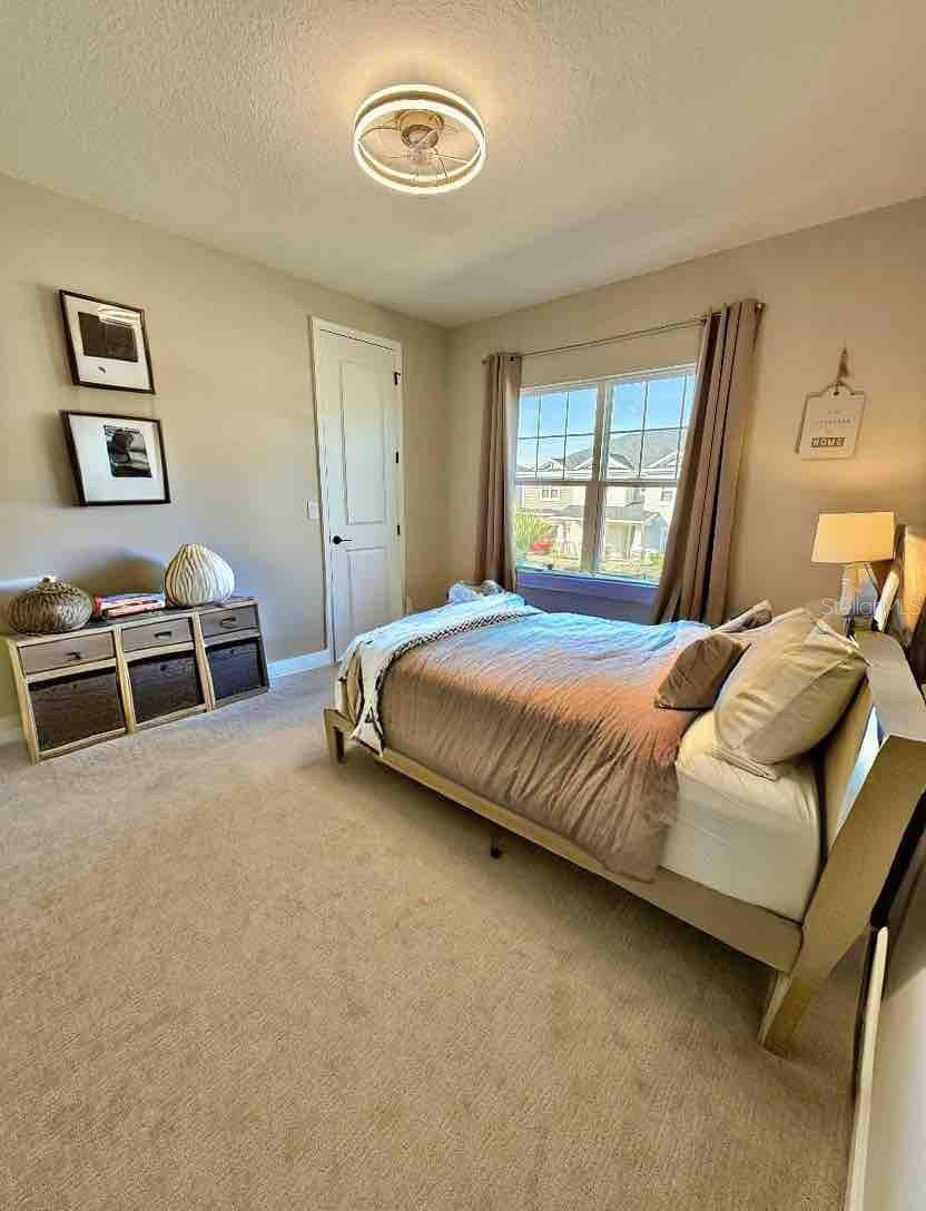 33802 CASTAWAY LOOP, WESLEY CHAPEL, FL, 33543