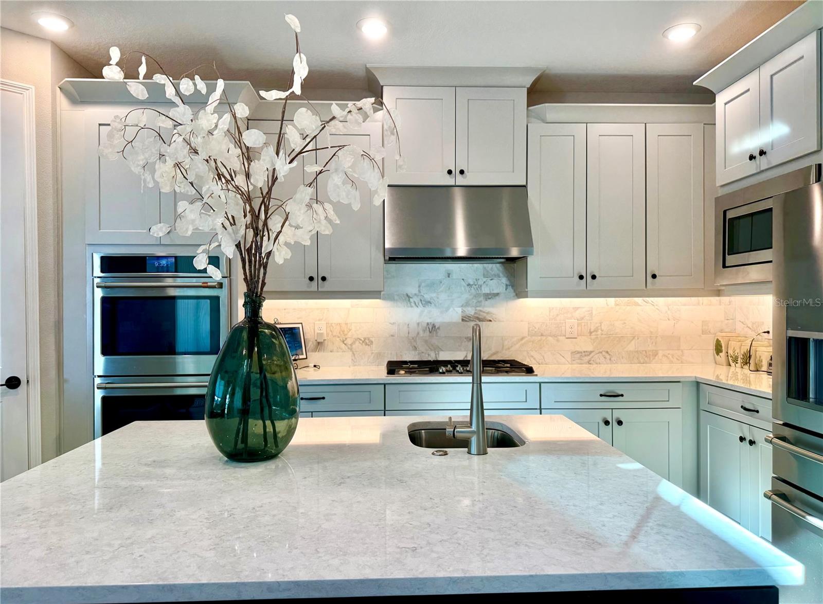 33802 CASTAWAY LOOP, WESLEY CHAPEL, FL, 33543