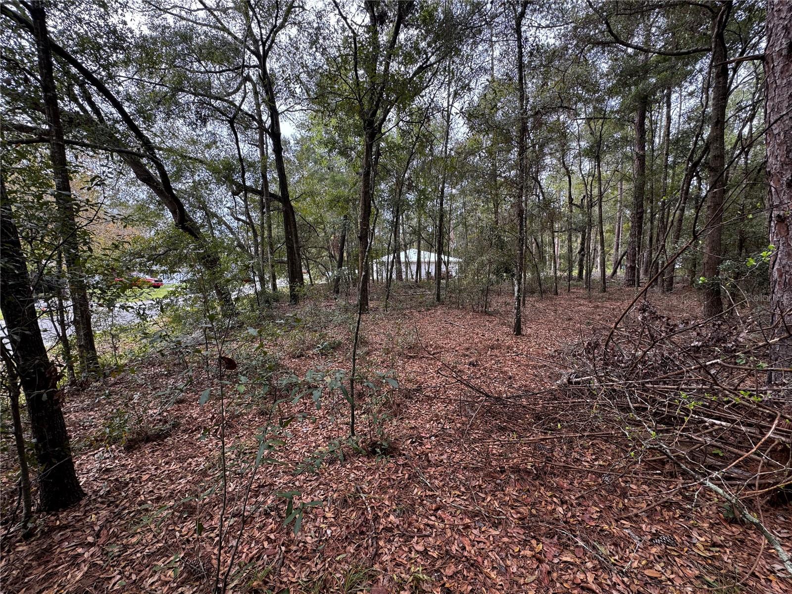 NW 60TH TER, OCALA, FL, 34482