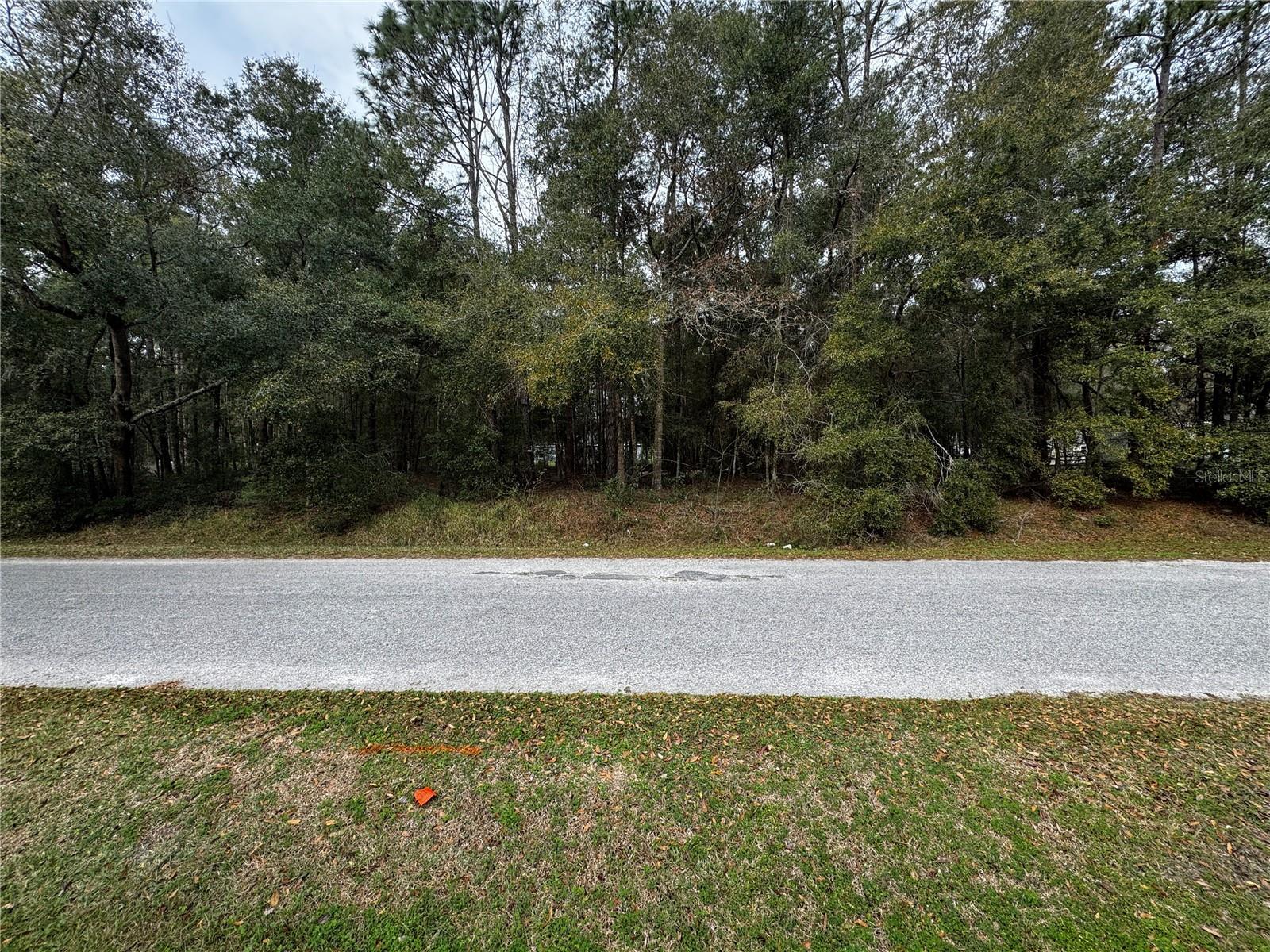 NW 60TH TER, OCALA, FL, 34482