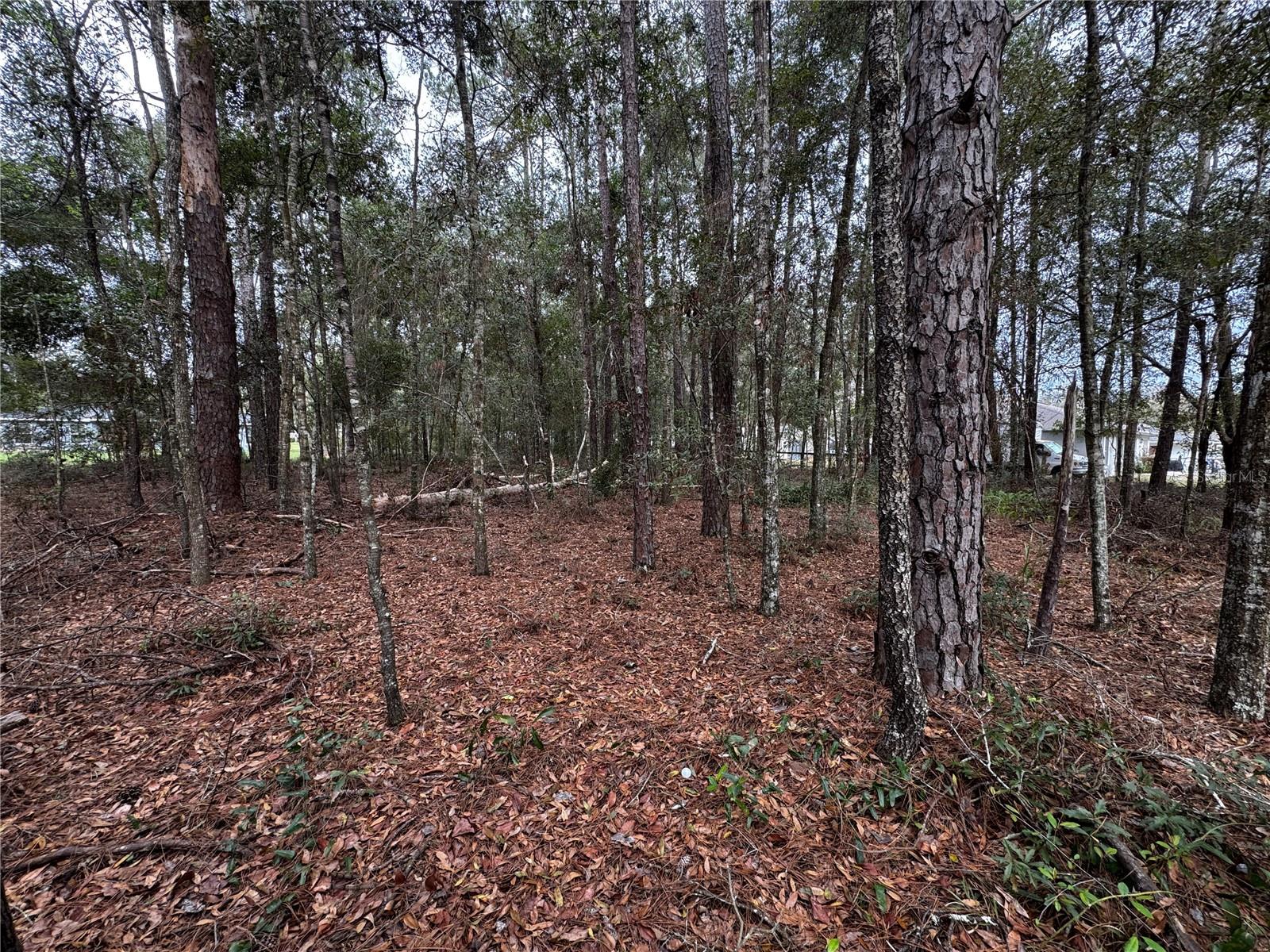 NW 60TH TER, OCALA, FL, 34482