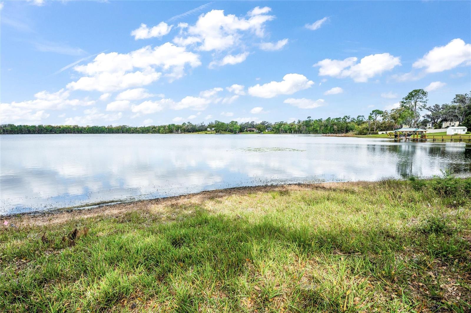 SILVER DR, UMATILLA, FL, 32784