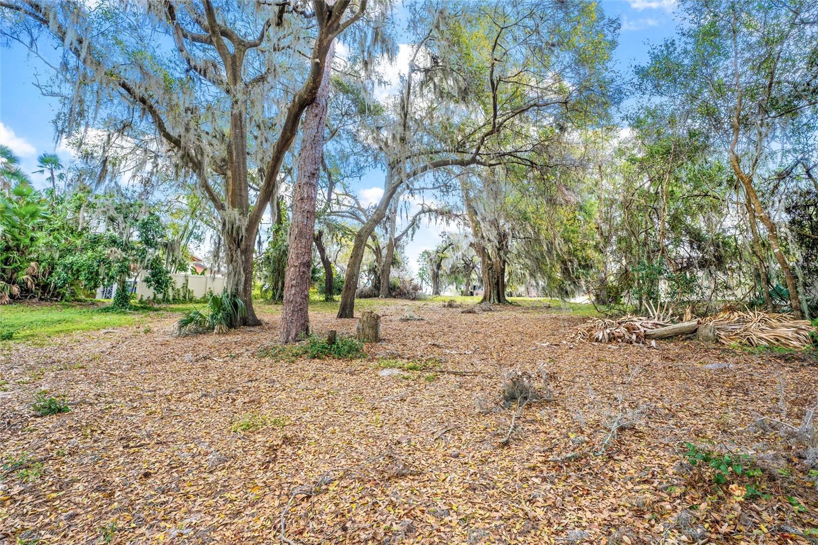 SILVER DR, UMATILLA, FL, 32784