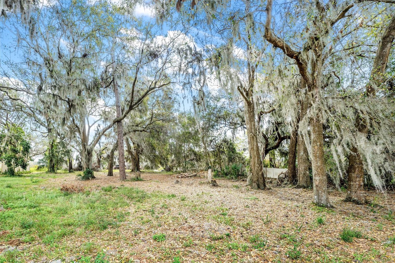 SILVER DR, UMATILLA, FL, 32784