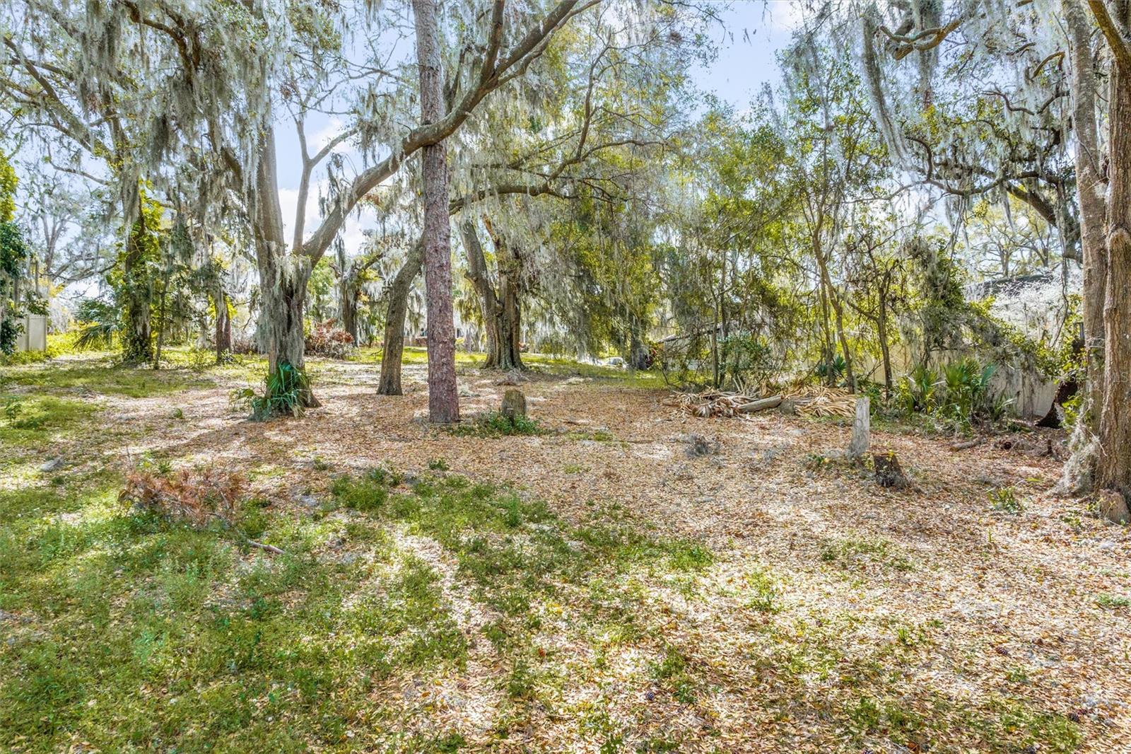 SILVER DR, UMATILLA, FL, 32784