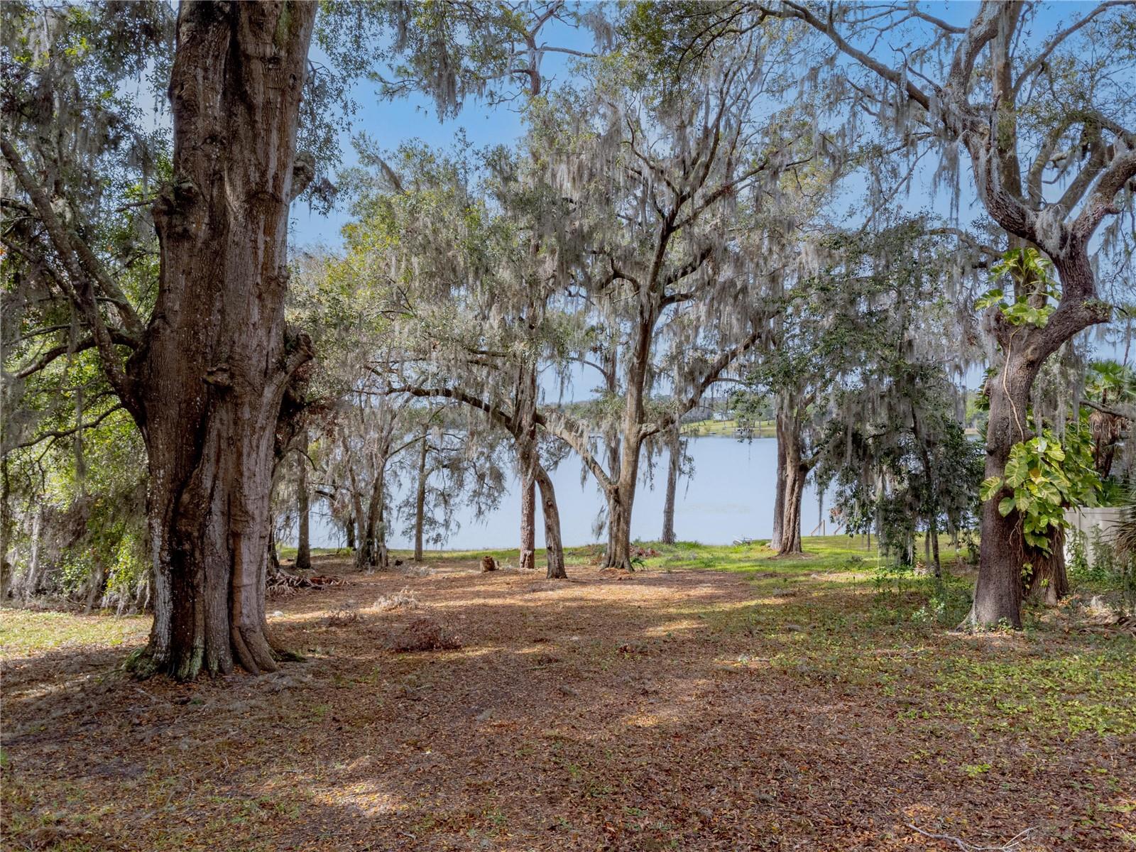SILVER DR, UMATILLA, FL, 32784
