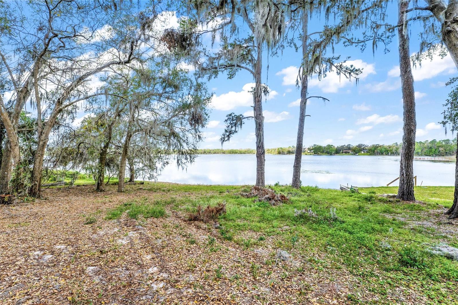 SILVER DR, UMATILLA, FL, 32784