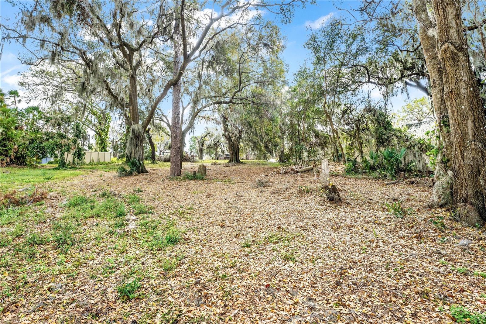 SILVER DR, UMATILLA, FL, 32784
