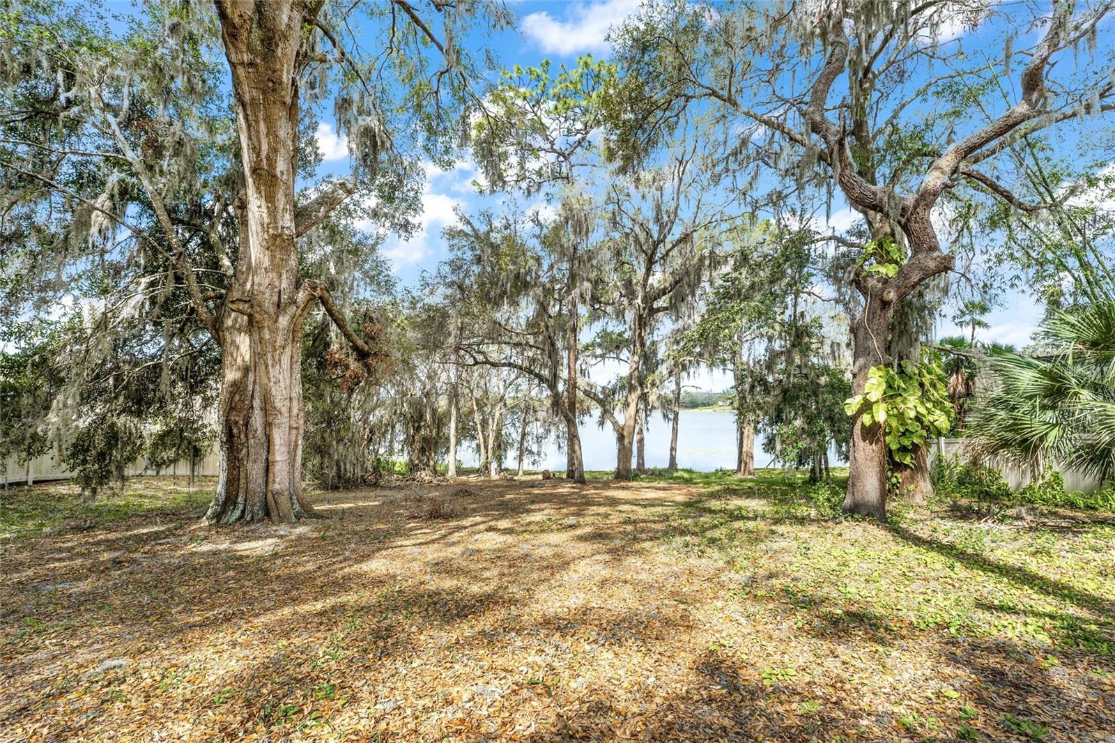 SILVER DR, UMATILLA, FL, 32784