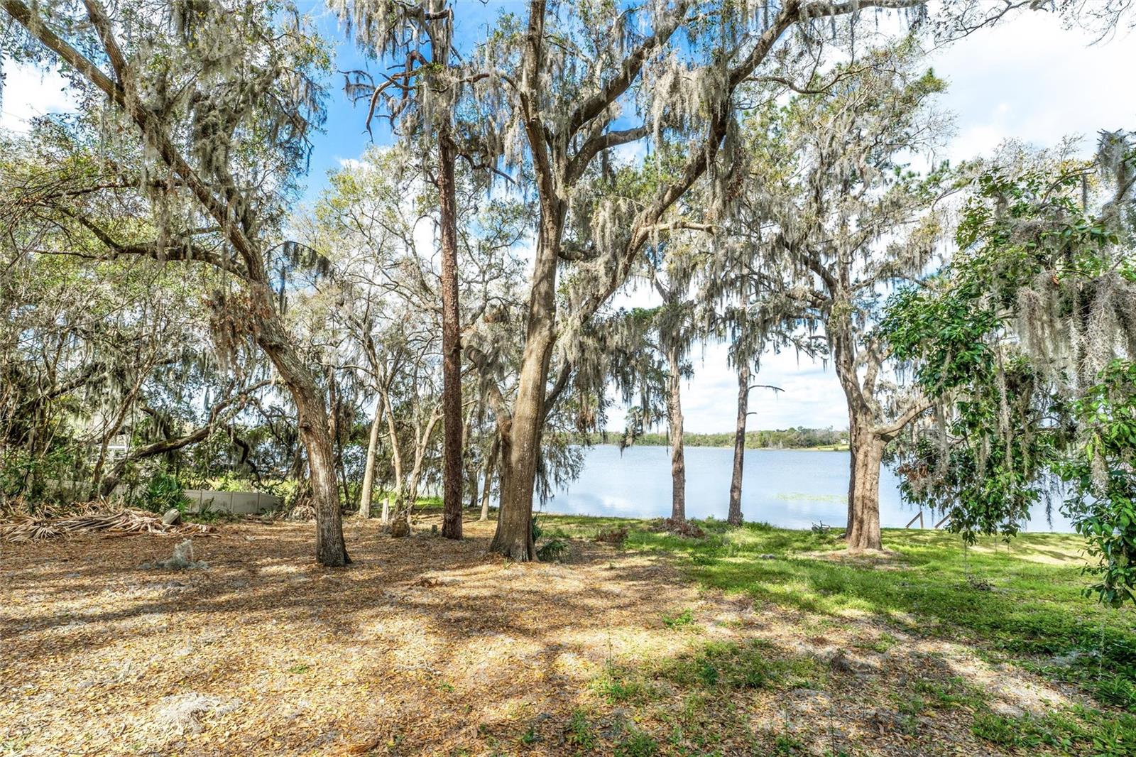 SILVER DR, UMATILLA, FL, 32784