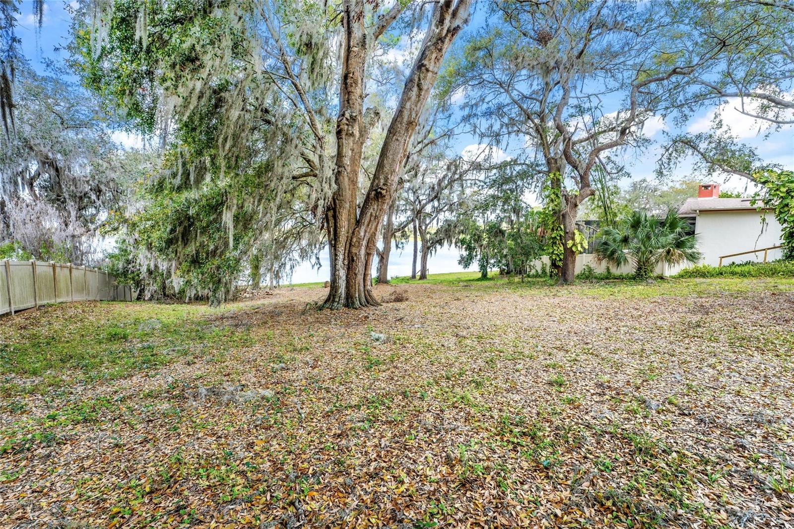 SILVER DR, UMATILLA, FL, 32784