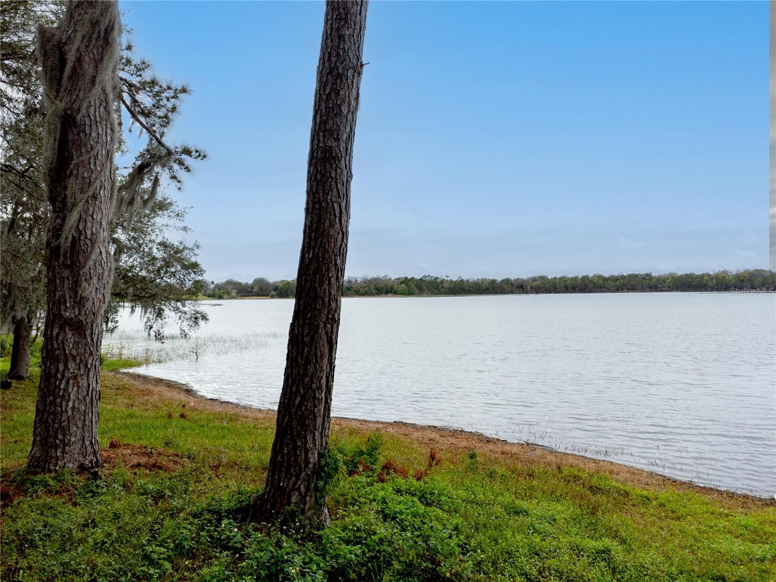 SILVER DR, UMATILLA, FL, 32784