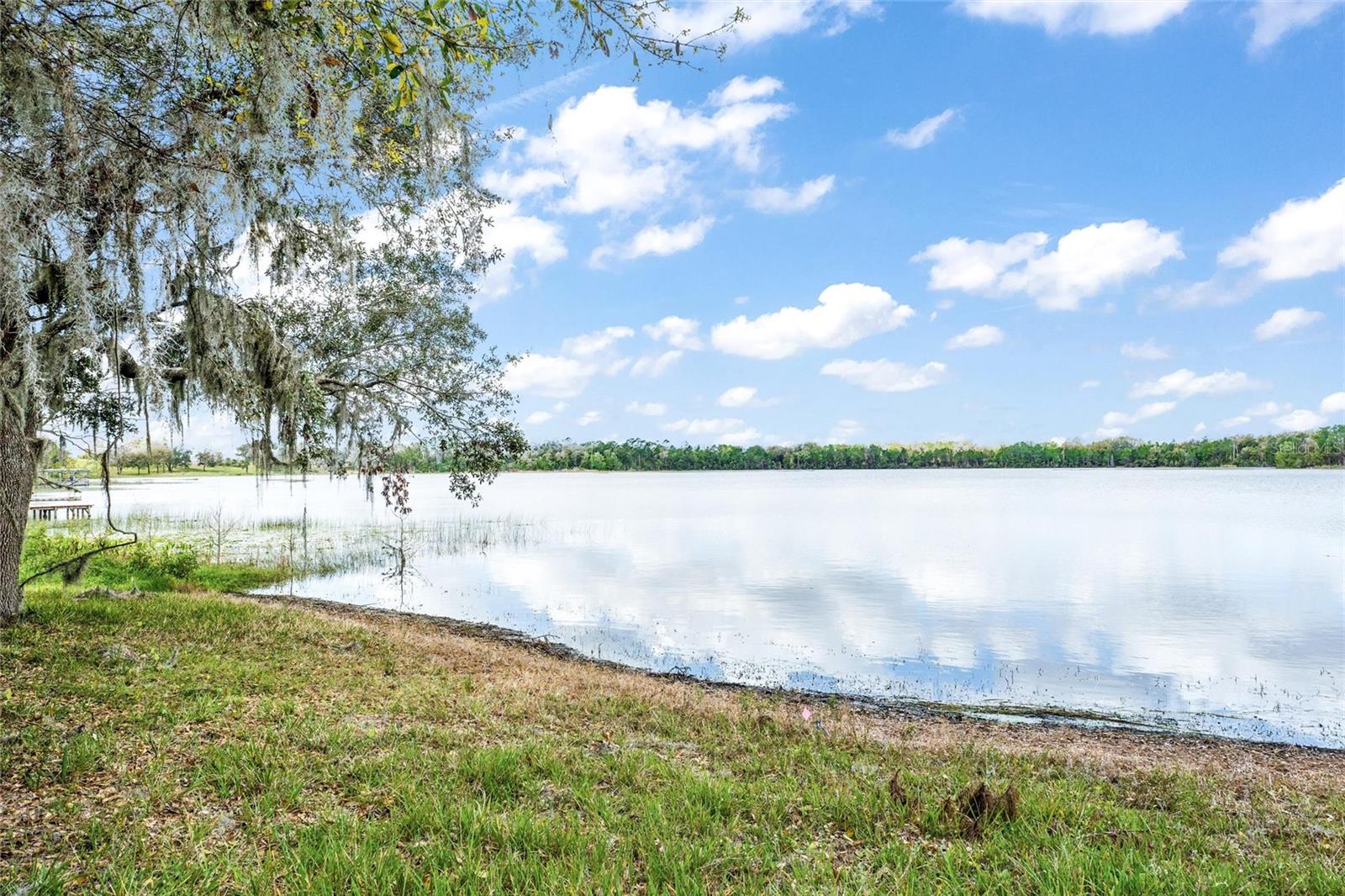 SILVER DR, UMATILLA, FL, 32784