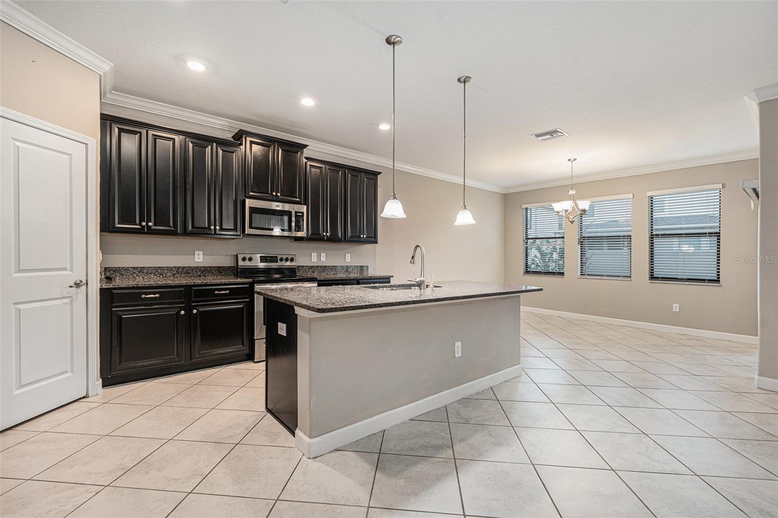 1555 TALLULAH TER, WESLEY CHAPEL, FL, 33543