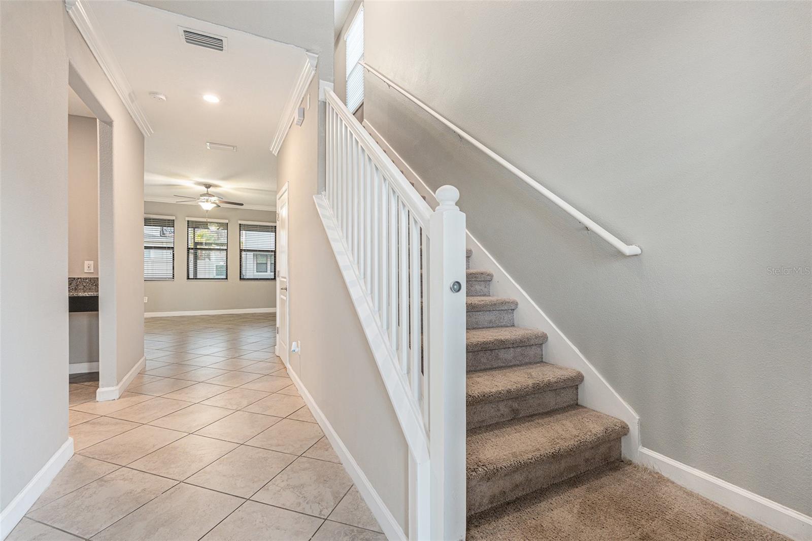 1555 TALLULAH TER, WESLEY CHAPEL, FL, 33543