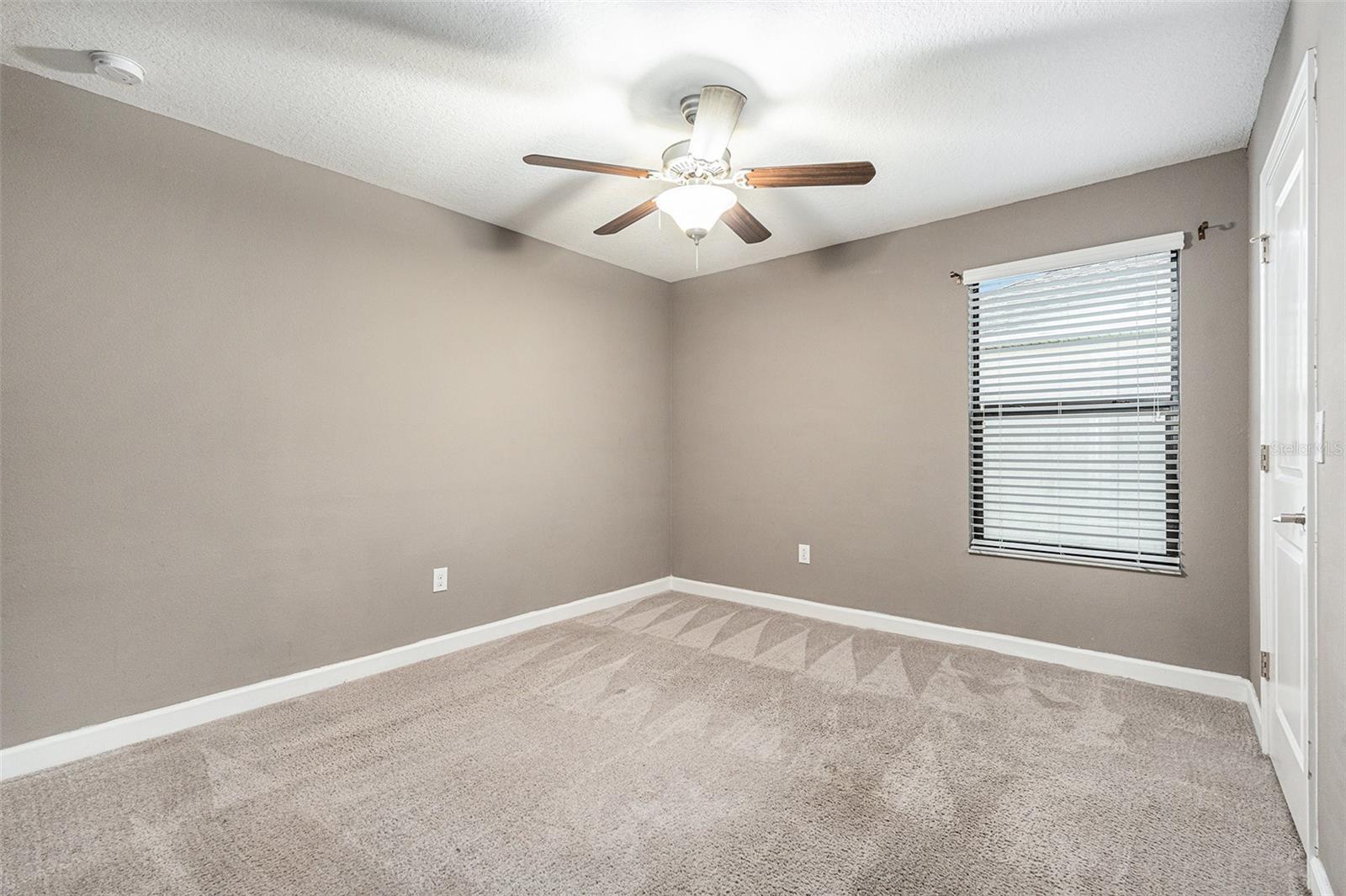 1555 TALLULAH TER, WESLEY CHAPEL, FL, 33543