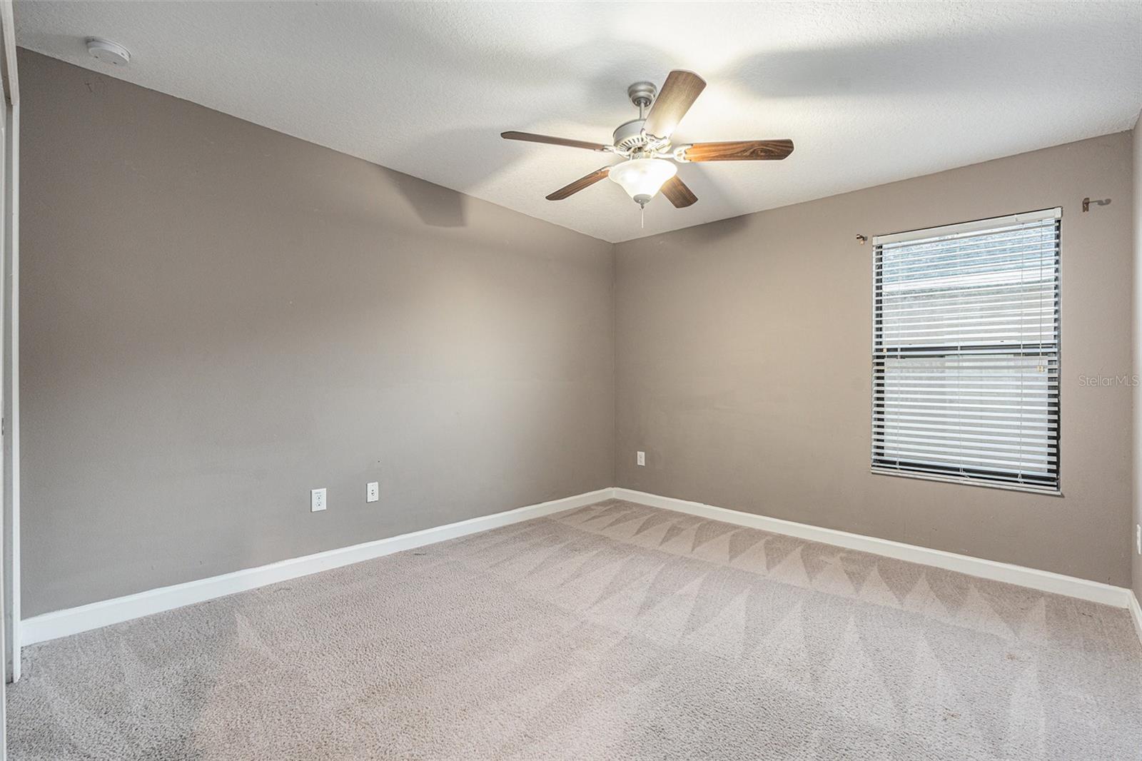 1555 TALLULAH TER, WESLEY CHAPEL, FL, 33543