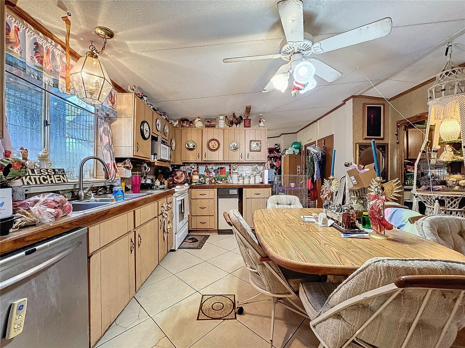 6844 S IRMA PT, LECANTO, FL, 34461