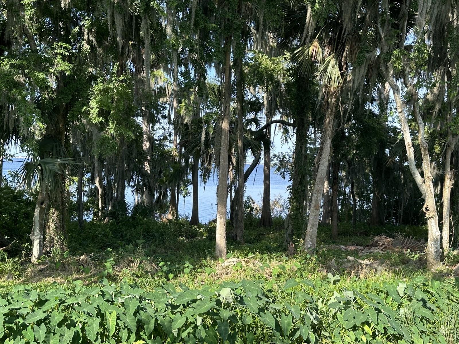 210 TORCASO CT, WINTER SPRINGS, FL, 32708