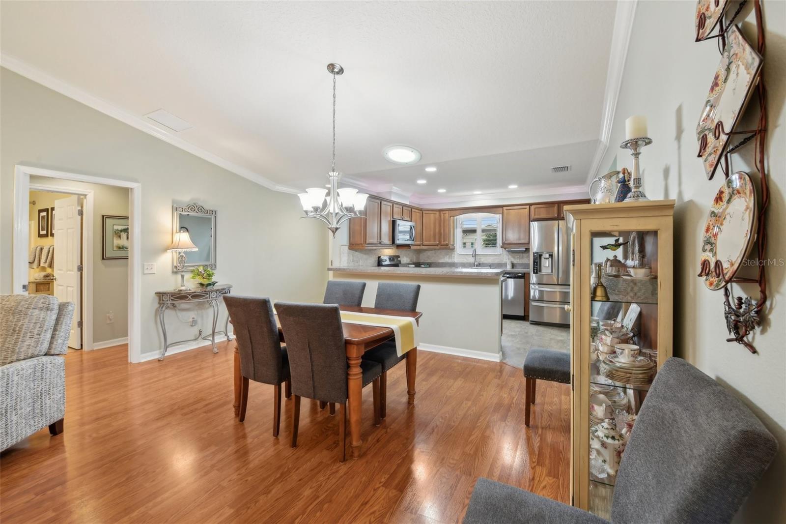 853 ABACO PATH, THE VILLAGES, FL, 32163