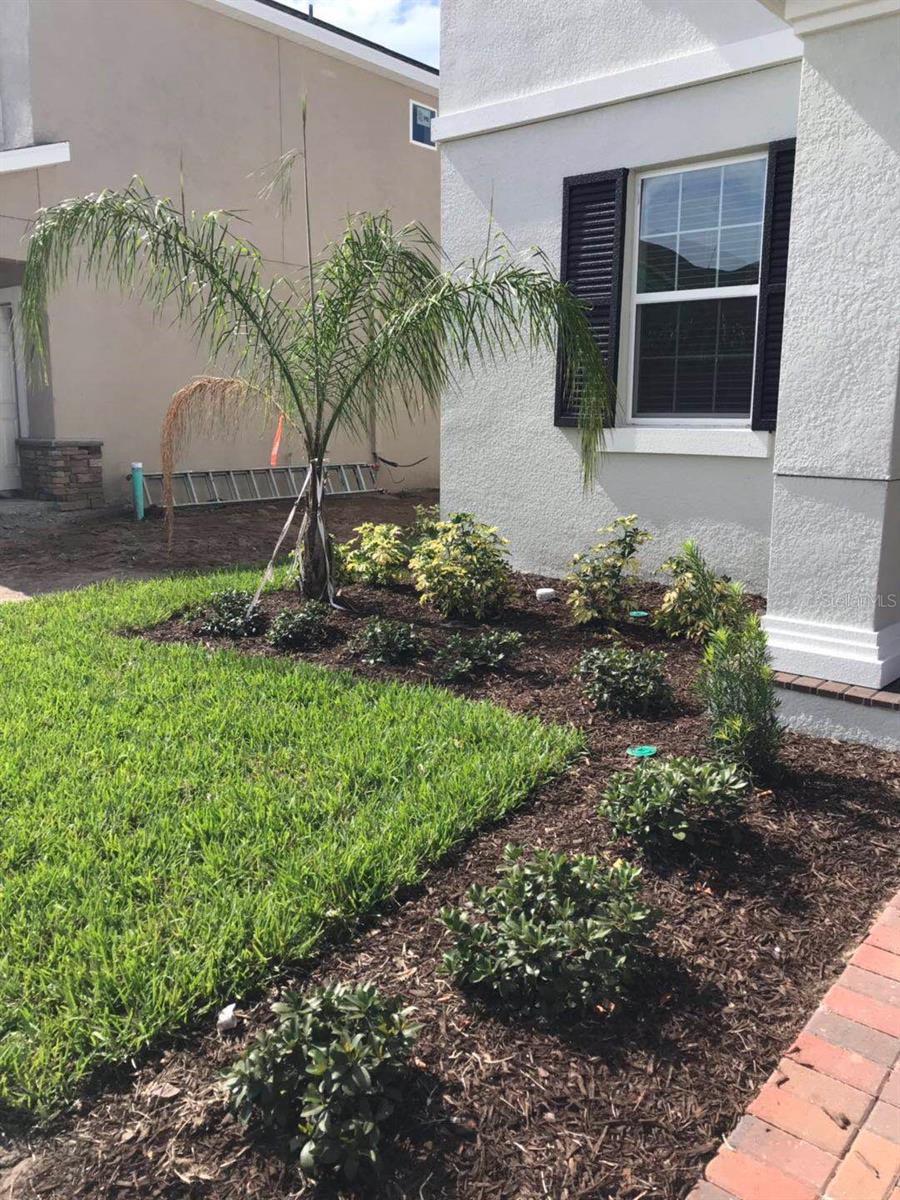 11178 LONGLEAF WOODS DR, ORLANDO, FL, 32832