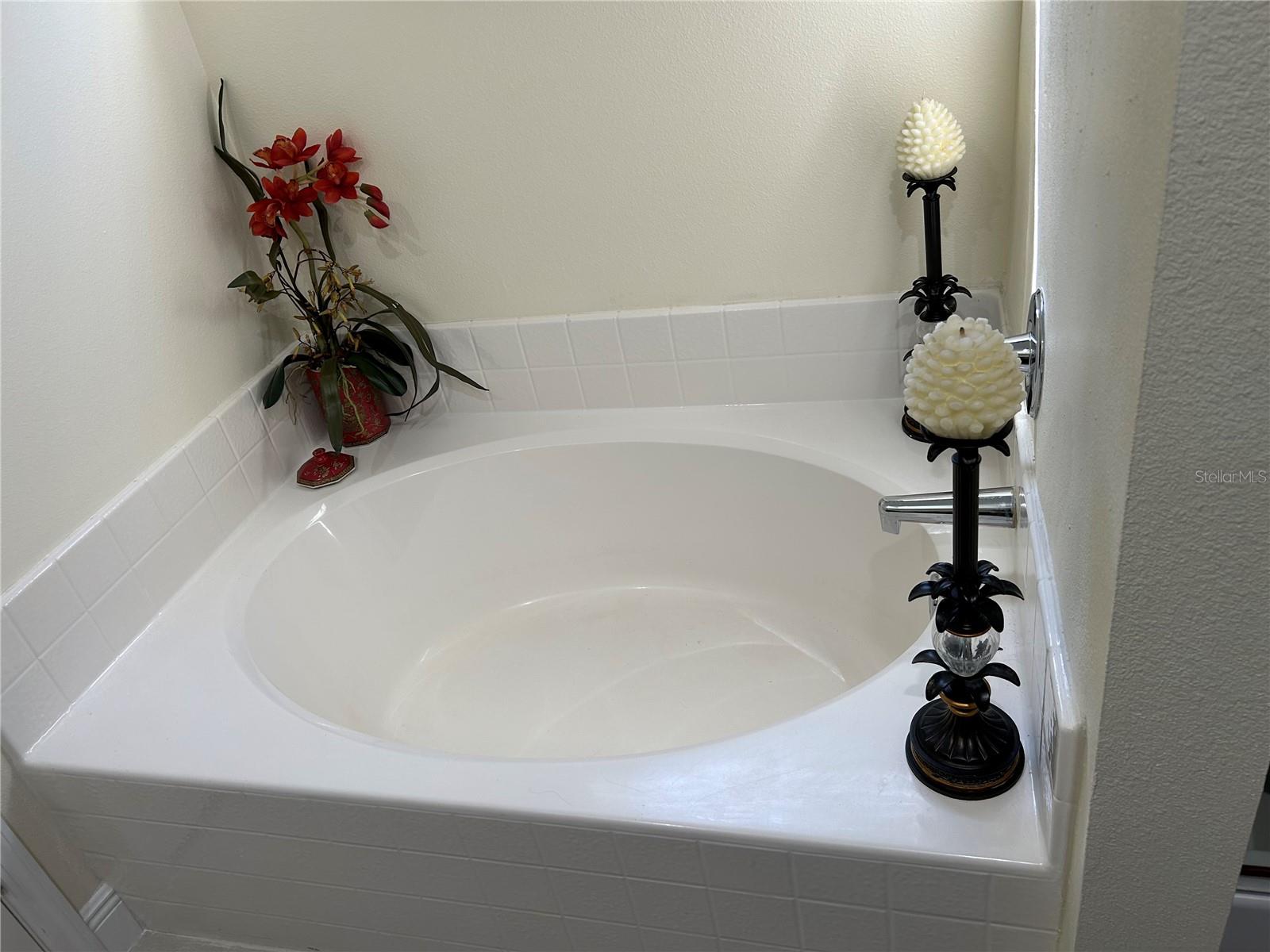 1008 MAGNOLIA BLOSSOM CT, APOPKA, FL, 32712