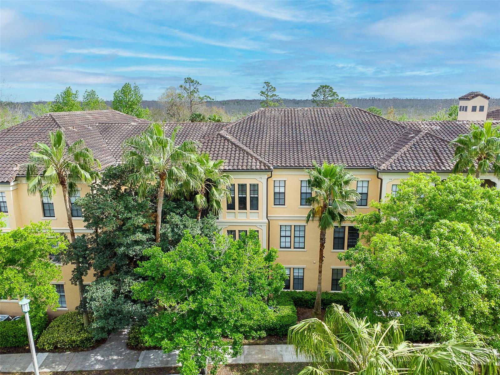 513 MIRASOL CIR #203, CELEBRATION, FL, 34747