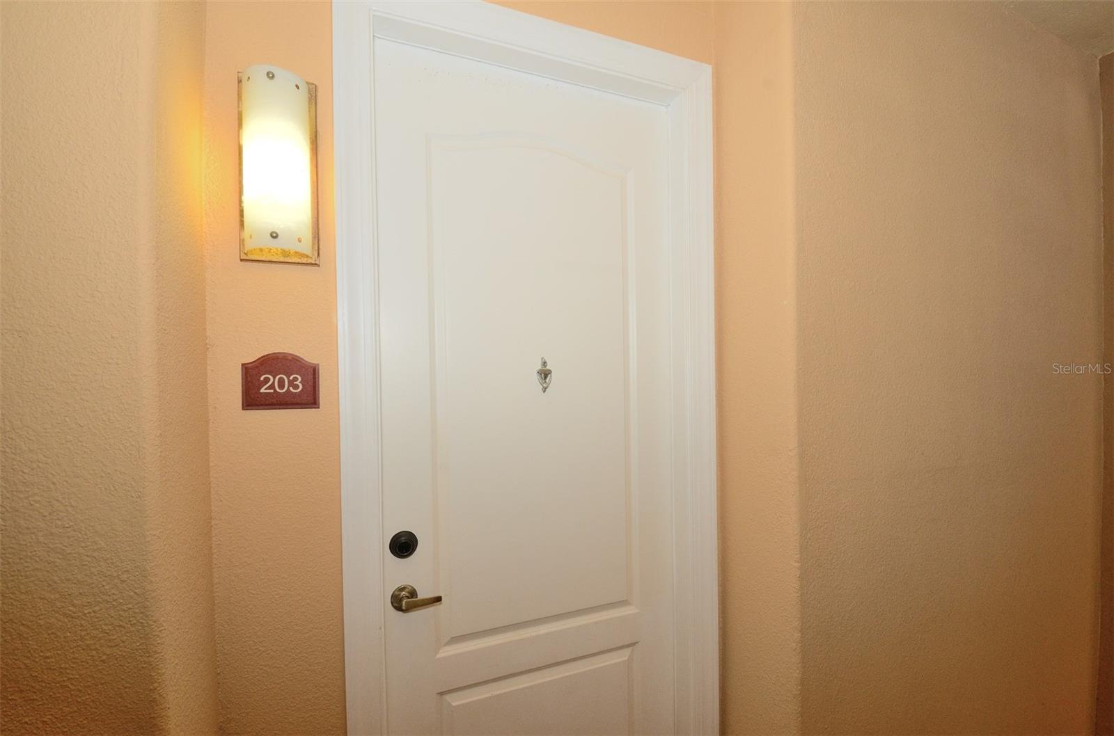 513 MIRASOL CIR #203, CELEBRATION, FL, 34747