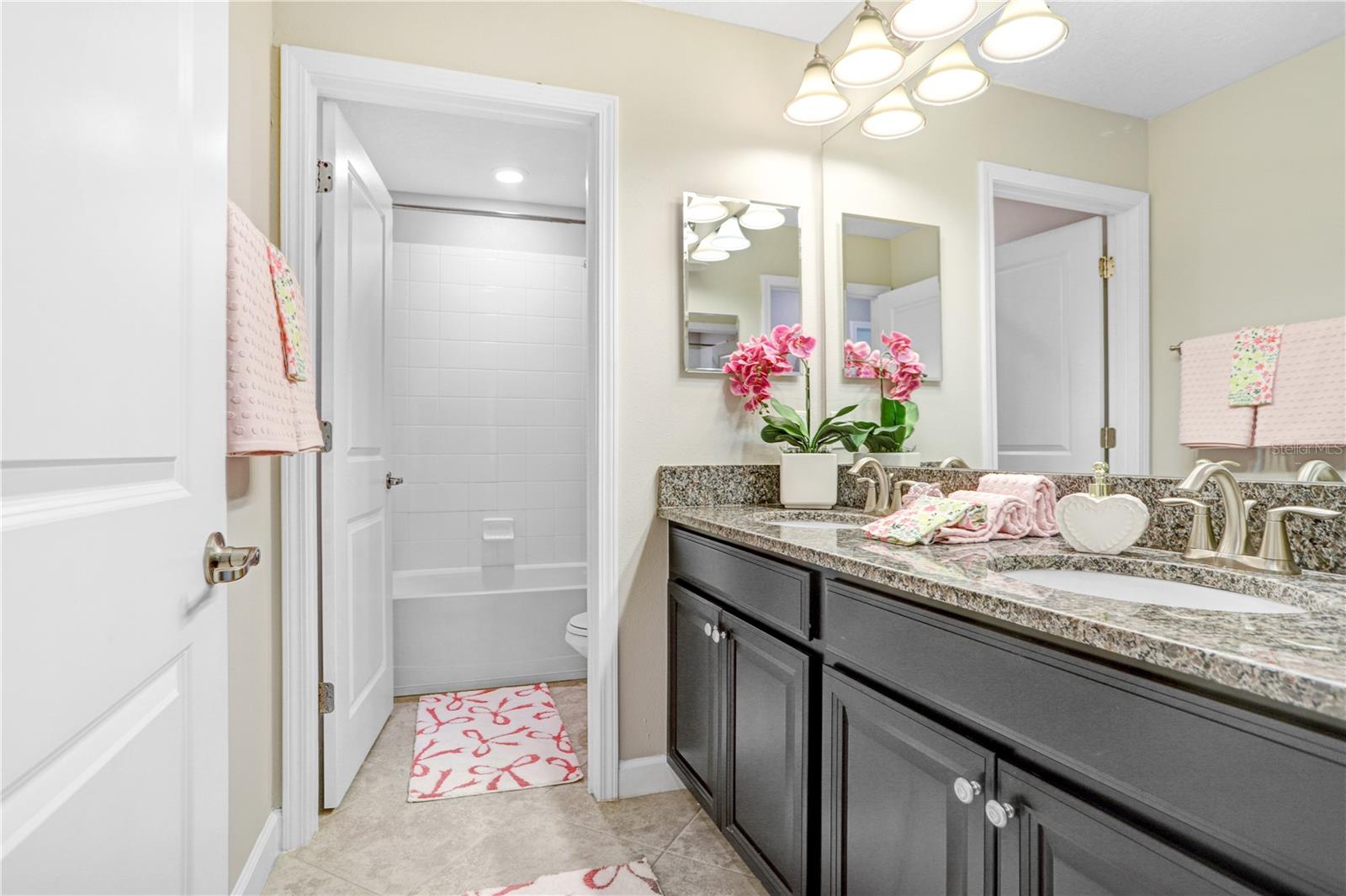 1598 TALLULAH TER, WESLEY CHAPEL, FL, 33543