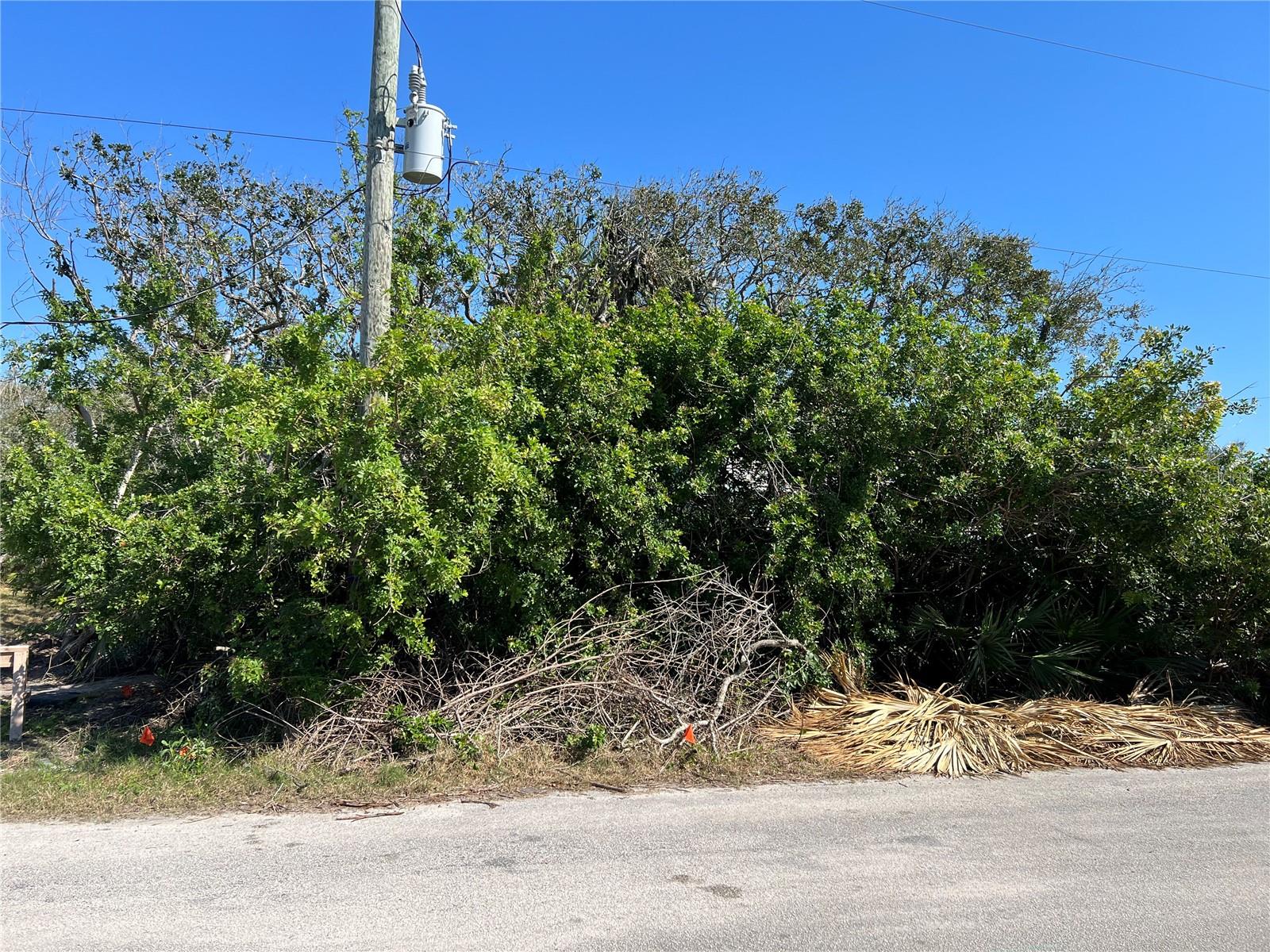 2647 LAKESHORE DR, FLAGLER BEACH, FL, 32136