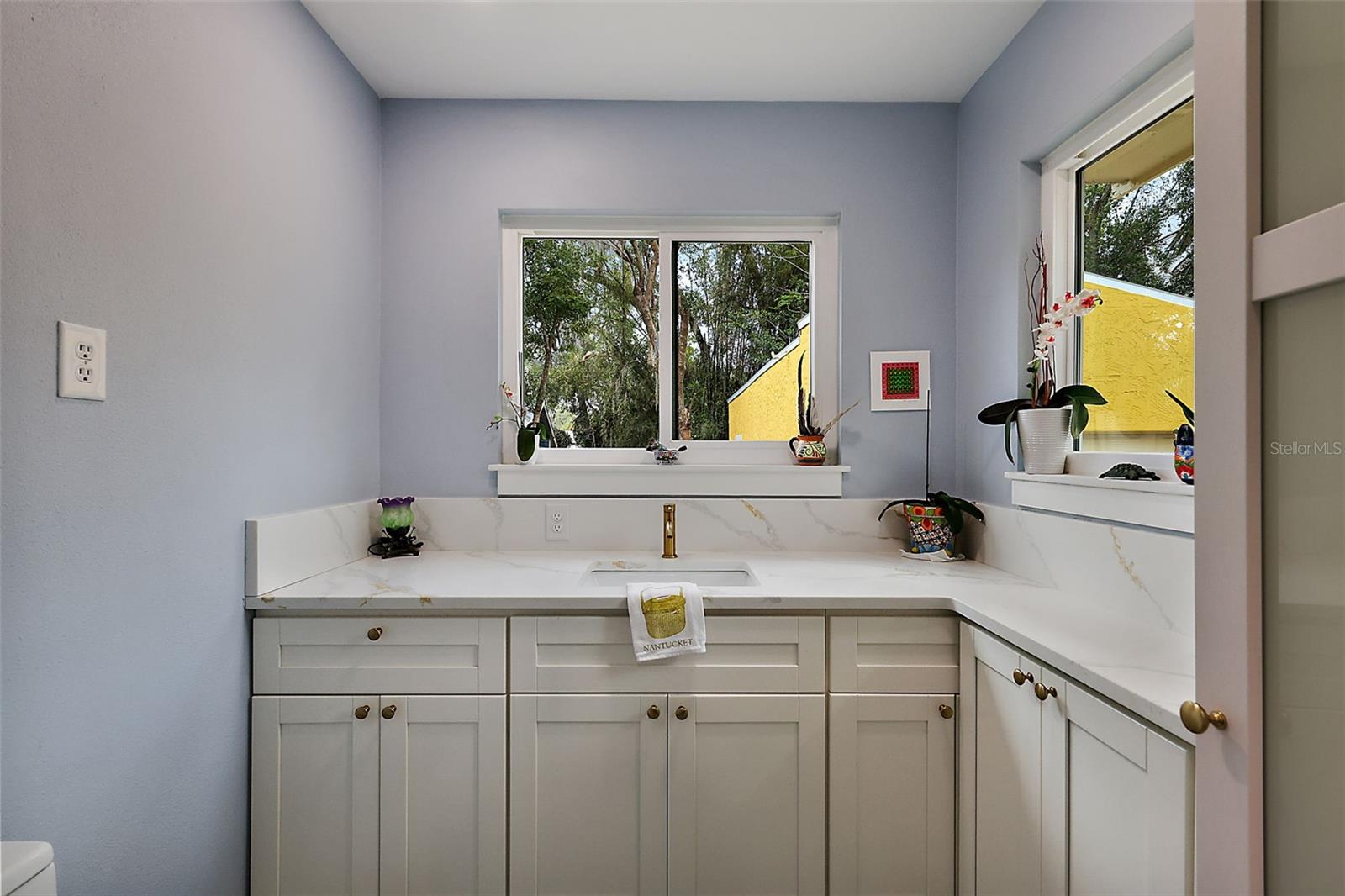 936 N ALEXANDER ST, MOUNT DORA, FL, 32757