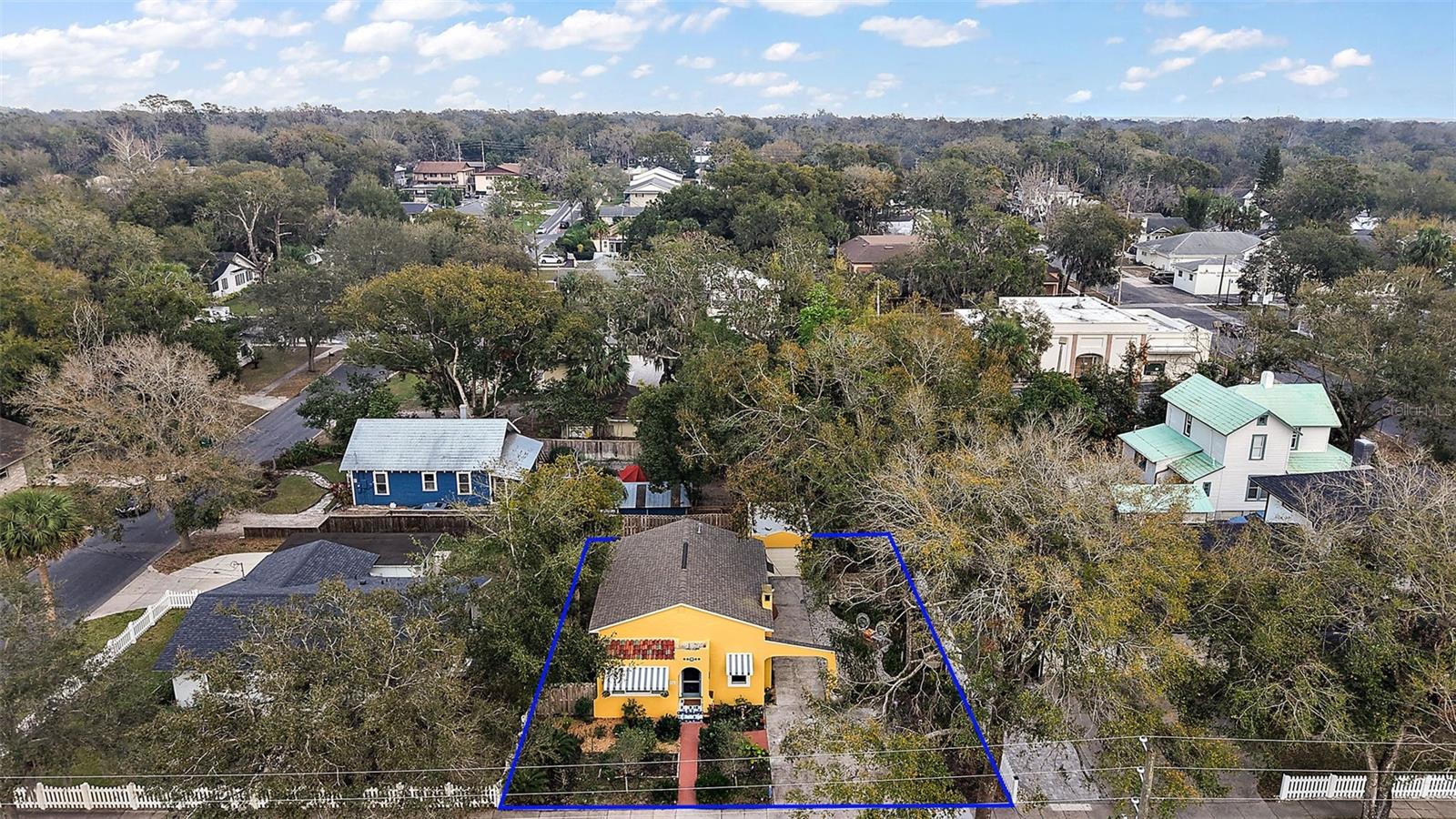 936 N ALEXANDER ST, MOUNT DORA, FL, 32757