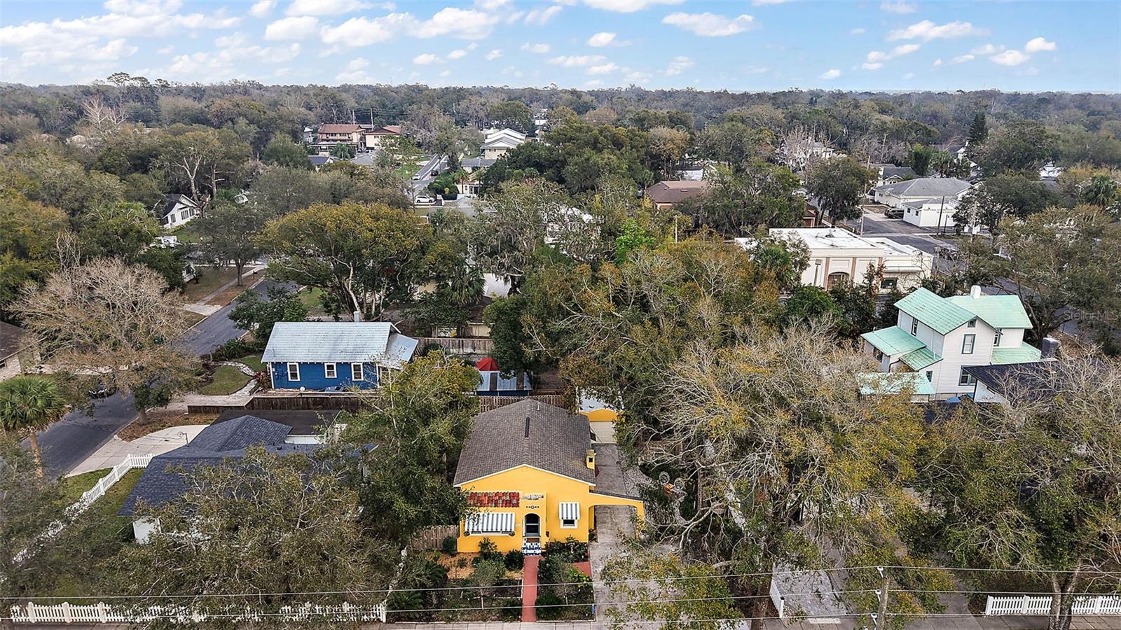 936 N ALEXANDER ST, MOUNT DORA, FL, 32757