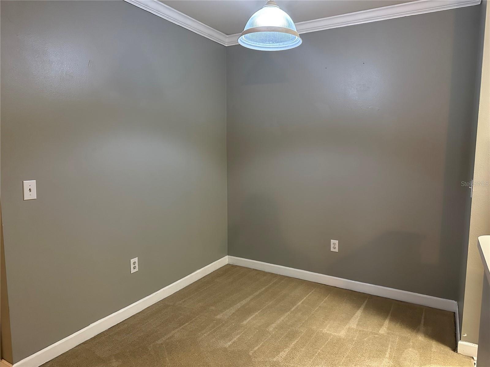 18302 BRIDLE CLUB DR #18302, TAMPA, FL, 33647