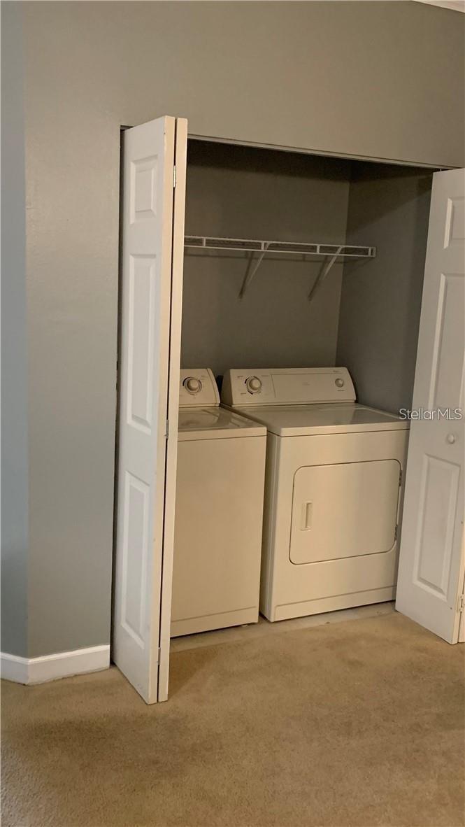 18302 BRIDLE CLUB DR #18302, TAMPA, FL, 33647