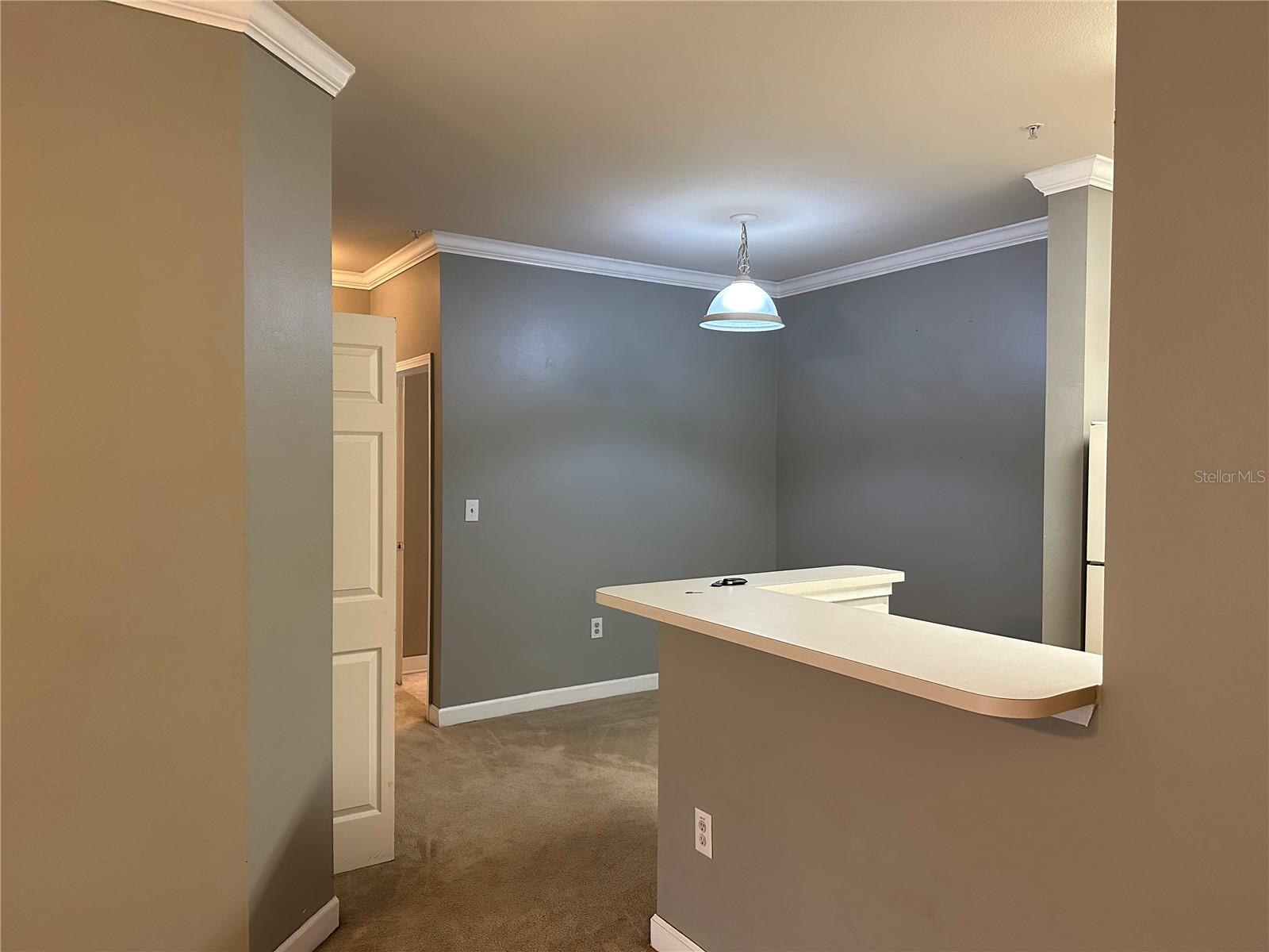 18302 BRIDLE CLUB DR #18302, TAMPA, FL, 33647