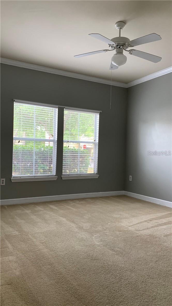 18302 BRIDLE CLUB DR #18302, TAMPA, FL, 33647