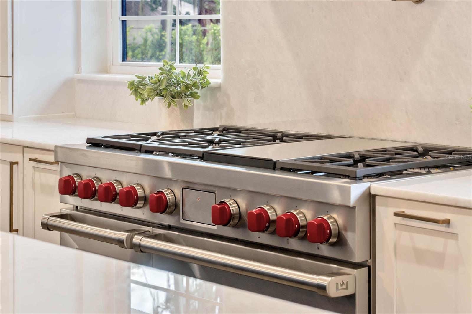 900 W PLANT ST, WINTER GARDEN, FL, 34787