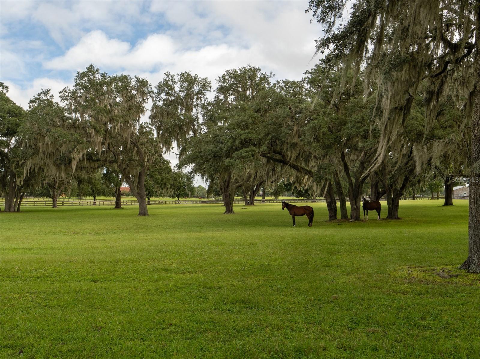 OM695661 Property Photo