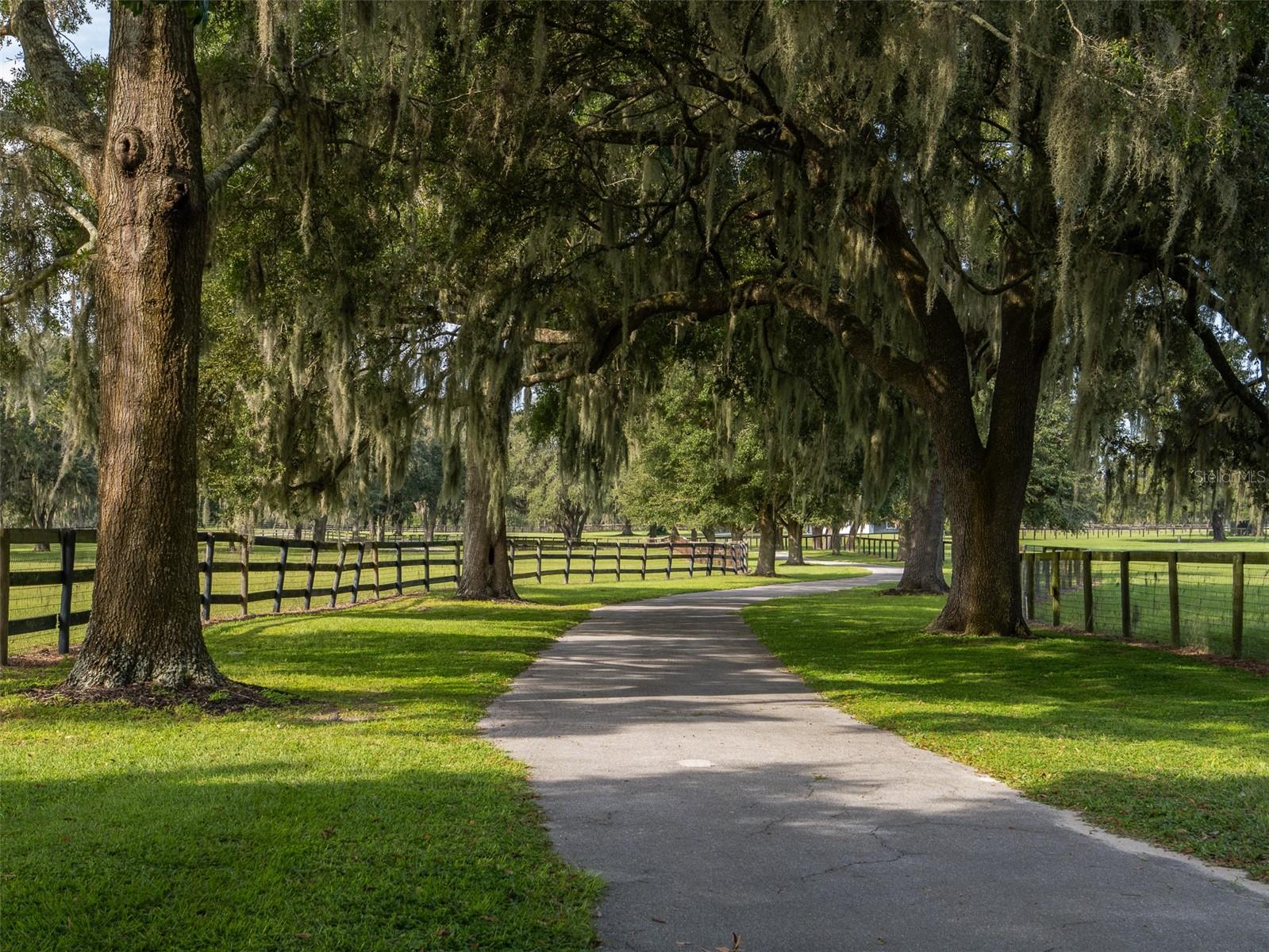 OM695661 Property Photo