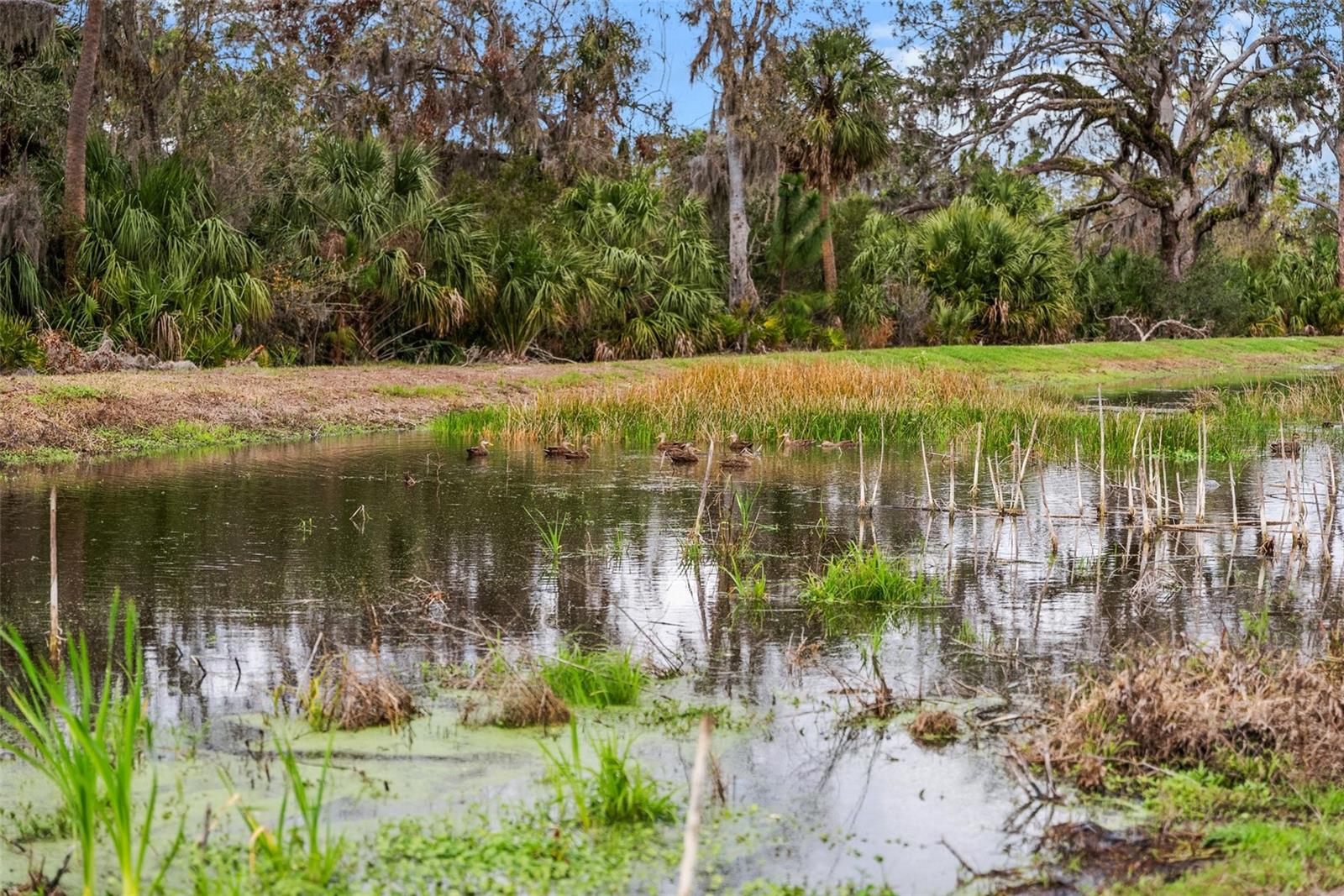 8619 FIREFLY PL, PARRISH, FL, 34219